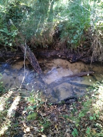 Ruisseau vulnérable